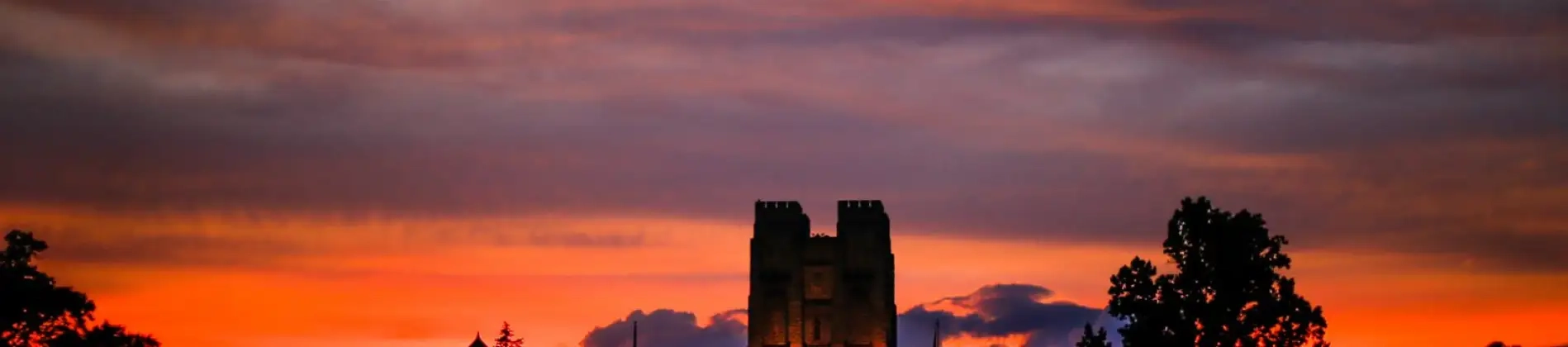 Plant Pathology, Physiology, and Weed Science